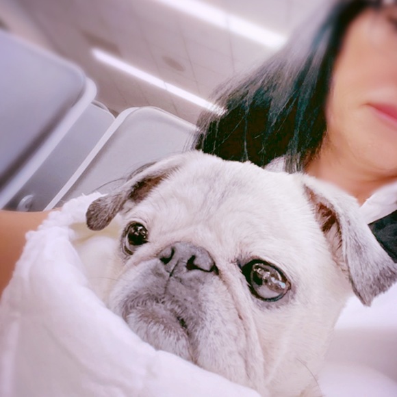 Meet your Posher, Dannielle - Picture 2 of 2